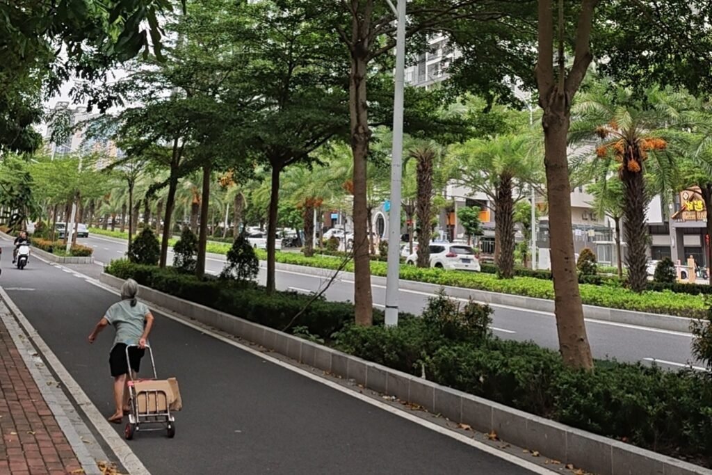 A tree-lined boulevard in Zhanjiang with palms and shade trees, a scooter lane and an apartment district behind